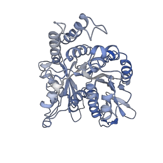 17187_8otz_IN_v1-0
48-nm repeat of the native axonemal doublet microtubule from bovine sperm