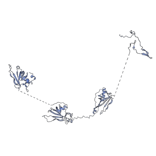 17187_8otz_I_v1-0
48-nm repeat of the native axonemal doublet microtubule from bovine sperm