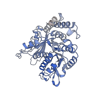 17187_8otz_JB_v1-0
48-nm repeat of the native axonemal doublet microtubule from bovine sperm