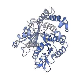 17187_8otz_JG_v1-0
48-nm repeat of the native axonemal doublet microtubule from bovine sperm