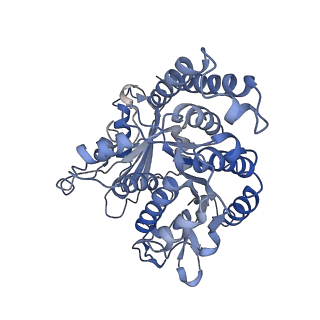 17187_8otz_JH_v1-0
48-nm repeat of the native axonemal doublet microtubule from bovine sperm