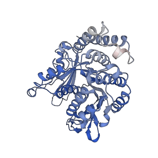 17187_8otz_JJ_v1-0
48-nm repeat of the native axonemal doublet microtubule from bovine sperm