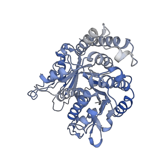 17187_8otz_JN_v1-0
48-nm repeat of the native axonemal doublet microtubule from bovine sperm