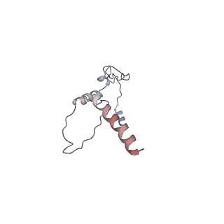 17187_8otz_K1_v1-0
48-nm repeat of the native axonemal doublet microtubule from bovine sperm