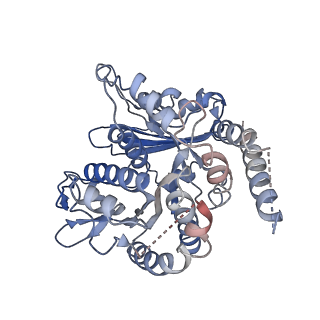 17187_8otz_KB_v1-0
48-nm repeat of the native axonemal doublet microtubule from bovine sperm
