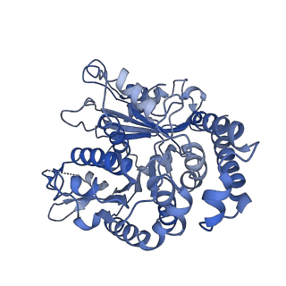17187_8otz_KE_v1-0
48-nm repeat of the native axonemal doublet microtubule from bovine sperm
