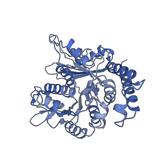 17187_8otz_KF_v1-0
48-nm repeat of the native axonemal doublet microtubule from bovine sperm