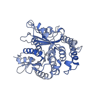 17187_8otz_KG_v1-0
48-nm repeat of the native axonemal doublet microtubule from bovine sperm