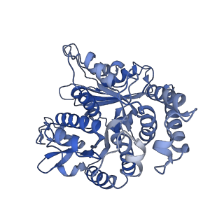 17187_8otz_KH_v1-0
48-nm repeat of the native axonemal doublet microtubule from bovine sperm