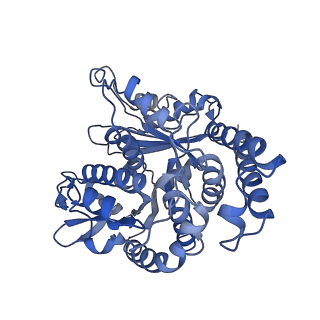 17187_8otz_KJ_v1-0
48-nm repeat of the native axonemal doublet microtubule from bovine sperm