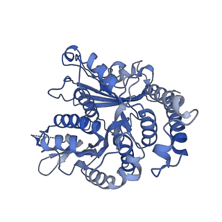 17187_8otz_KK_v1-0
48-nm repeat of the native axonemal doublet microtubule from bovine sperm