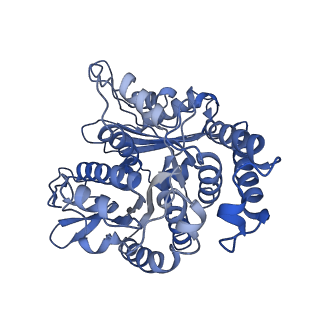 17187_8otz_KL_v1-0
48-nm repeat of the native axonemal doublet microtubule from bovine sperm