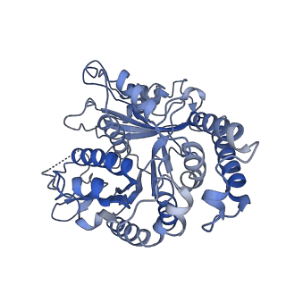 17187_8otz_KM_v1-0
48-nm repeat of the native axonemal doublet microtubule from bovine sperm
