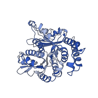 17187_8otz_KN_v1-0
48-nm repeat of the native axonemal doublet microtubule from bovine sperm