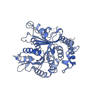 17187_8otz_KO_v1-0
48-nm repeat of the native axonemal doublet microtubule from bovine sperm