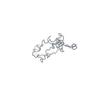 17187_8otz_L1_v1-0
48-nm repeat of the native axonemal doublet microtubule from bovine sperm