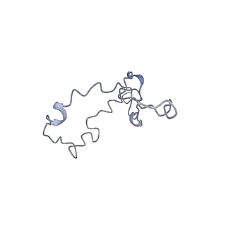 17187_8otz_L2_v1-0
48-nm repeat of the native axonemal doublet microtubule from bovine sperm