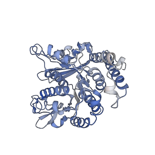 17187_8otz_LB_v1-0
48-nm repeat of the native axonemal doublet microtubule from bovine sperm