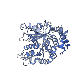 17187_8otz_LC_v1-0
48-nm repeat of the native axonemal doublet microtubule from bovine sperm