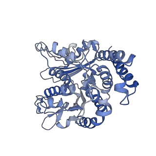 17187_8otz_LD_v1-0
48-nm repeat of the native axonemal doublet microtubule from bovine sperm