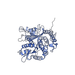 17187_8otz_LE_v1-0
48-nm repeat of the native axonemal doublet microtubule from bovine sperm