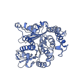 17187_8otz_LF_v1-0
48-nm repeat of the native axonemal doublet microtubule from bovine sperm