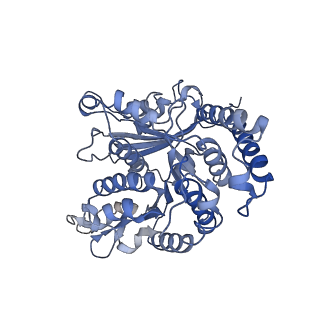17187_8otz_LG_v1-0
48-nm repeat of the native axonemal doublet microtubule from bovine sperm