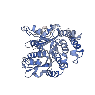 17187_8otz_LH_v1-0
48-nm repeat of the native axonemal doublet microtubule from bovine sperm