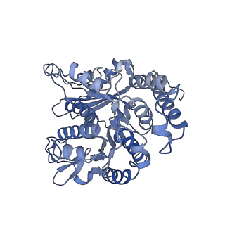 17187_8otz_LJ_v1-0
48-nm repeat of the native axonemal doublet microtubule from bovine sperm