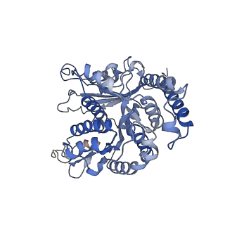 17187_8otz_LK_v1-0
48-nm repeat of the native axonemal doublet microtubule from bovine sperm
