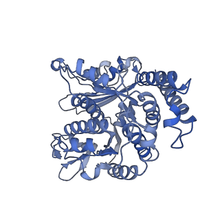 17187_8otz_LL_v1-0
48-nm repeat of the native axonemal doublet microtubule from bovine sperm