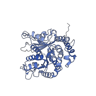 17187_8otz_LM_v1-0
48-nm repeat of the native axonemal doublet microtubule from bovine sperm