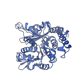 17187_8otz_LN_v1-0
48-nm repeat of the native axonemal doublet microtubule from bovine sperm