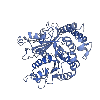 17187_8otz_MC_v1-0
48-nm repeat of the native axonemal doublet microtubule from bovine sperm