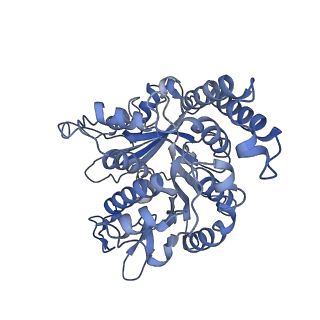 17187_8otz_MD_v1-0
48-nm repeat of the native axonemal doublet microtubule from bovine sperm