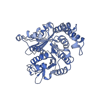 17187_8otz_MF_v1-0
48-nm repeat of the native axonemal doublet microtubule from bovine sperm