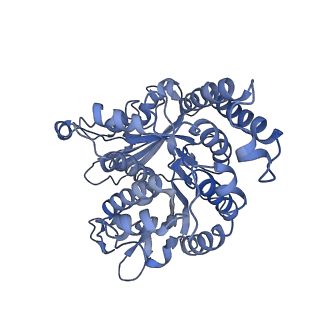 17187_8otz_MH_v1-0
48-nm repeat of the native axonemal doublet microtubule from bovine sperm