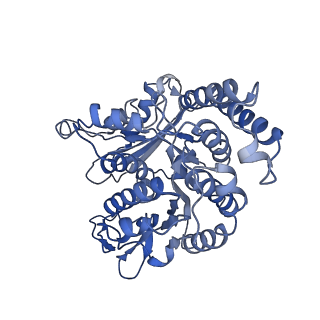 17187_8otz_MJ_v1-0
48-nm repeat of the native axonemal doublet microtubule from bovine sperm