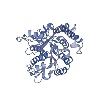 17187_8otz_ML_v1-0
48-nm repeat of the native axonemal doublet microtubule from bovine sperm