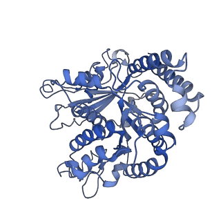 17187_8otz_MM_v1-0
48-nm repeat of the native axonemal doublet microtubule from bovine sperm