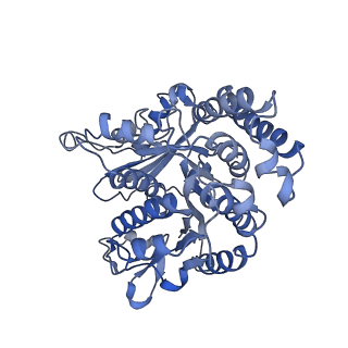 17187_8otz_MN_v1-0
48-nm repeat of the native axonemal doublet microtubule from bovine sperm