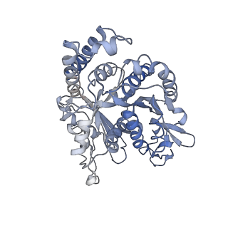 17187_8otz_NB_v1-0
48-nm repeat of the native axonemal doublet microtubule from bovine sperm