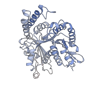 17187_8otz_NC_v1-0
48-nm repeat of the native axonemal doublet microtubule from bovine sperm