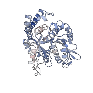 17187_8otz_ND_v1-0
48-nm repeat of the native axonemal doublet microtubule from bovine sperm
