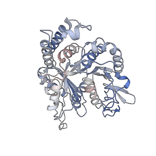 17187_8otz_NF_v1-0
48-nm repeat of the native axonemal doublet microtubule from bovine sperm