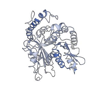 17187_8otz_NG_v1-0
48-nm repeat of the native axonemal doublet microtubule from bovine sperm