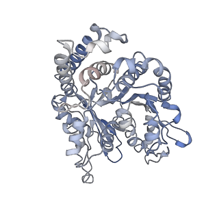 17187_8otz_NH_v1-0
48-nm repeat of the native axonemal doublet microtubule from bovine sperm