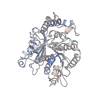 17187_8otz_PA_v1-0
48-nm repeat of the native axonemal doublet microtubule from bovine sperm