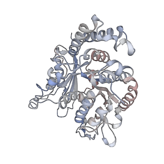 17187_8otz_PB_v1-0
48-nm repeat of the native axonemal doublet microtubule from bovine sperm