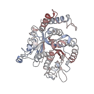 17187_8otz_PD_v1-0
48-nm repeat of the native axonemal doublet microtubule from bovine sperm